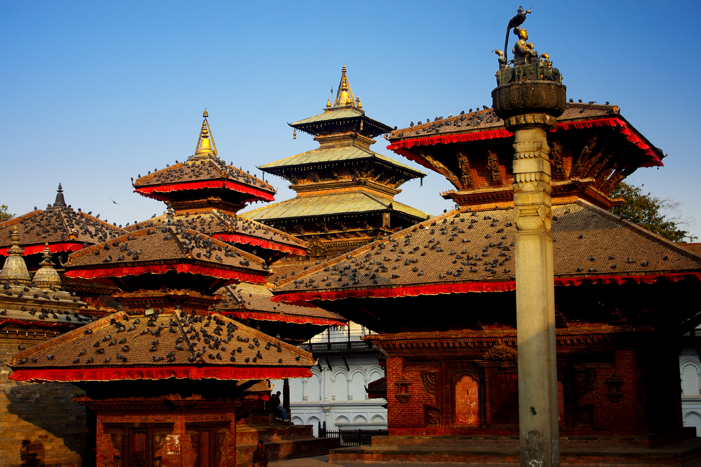 pothana (3).webp